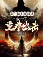 天可汗回忆录